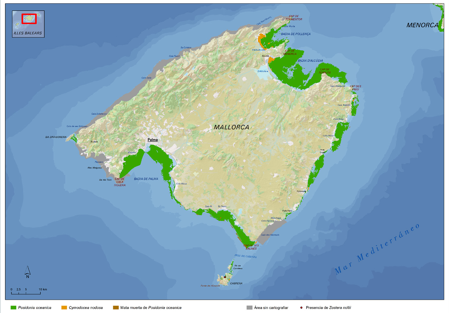 Distribución de las praderas marinas en el litoral de Mallorca